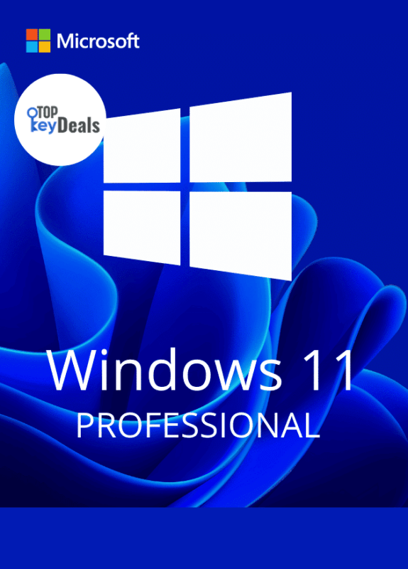 windows-11-professional-2